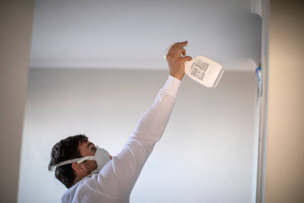 Professional Mold Removal in Pharr, TX