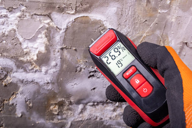 Best Toxic Mold Removal  in Pharr, TX