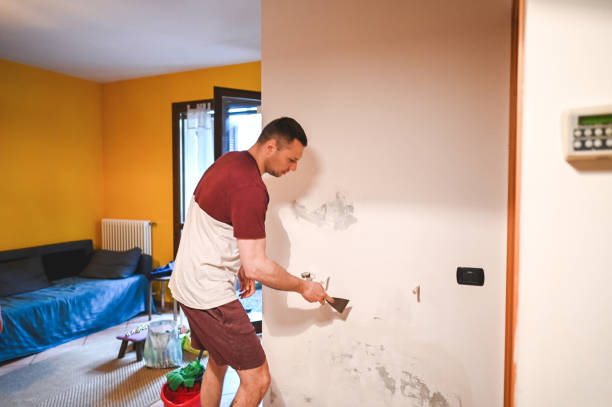 Professional Mold Removal in Pharr, TX