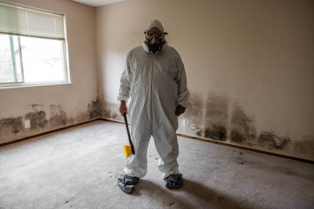 Best Mold Cleaning Services  in Pharr, TX